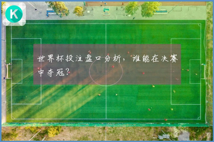 世界杯投注盘口分析，谁能在决赛中夺冠？