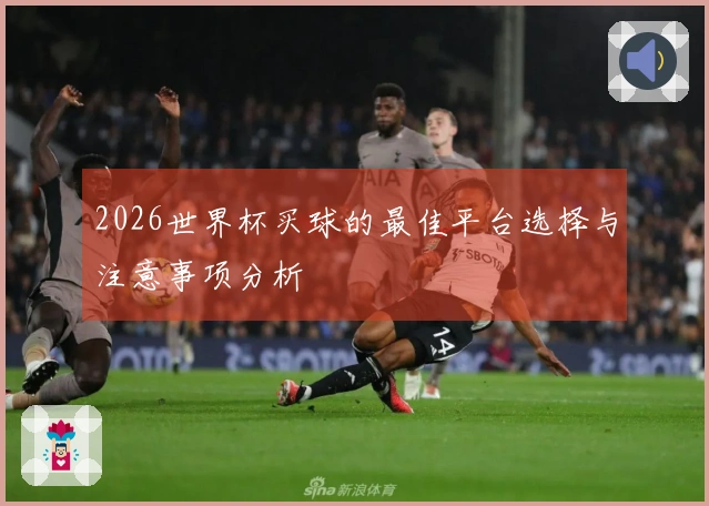2026世界杯买球的最佳平台选择与注意事项分析