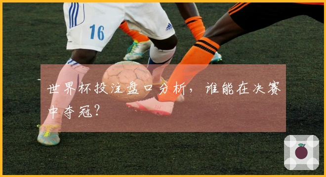 世界杯投注盘口分析，谁能在决赛中夺冠？